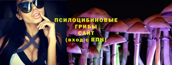 амф Бугульма